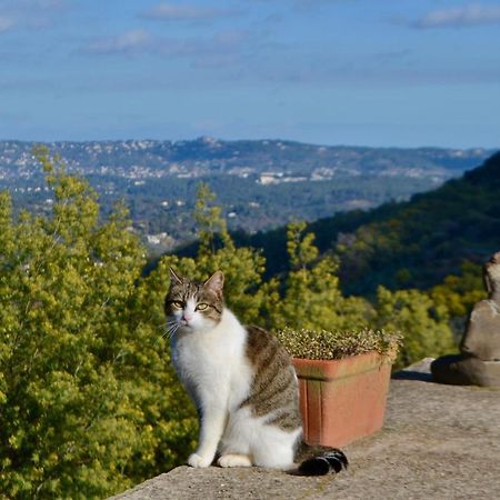 Amoureux Du Calme Et De La Nature Tanneron Eksteriør billede